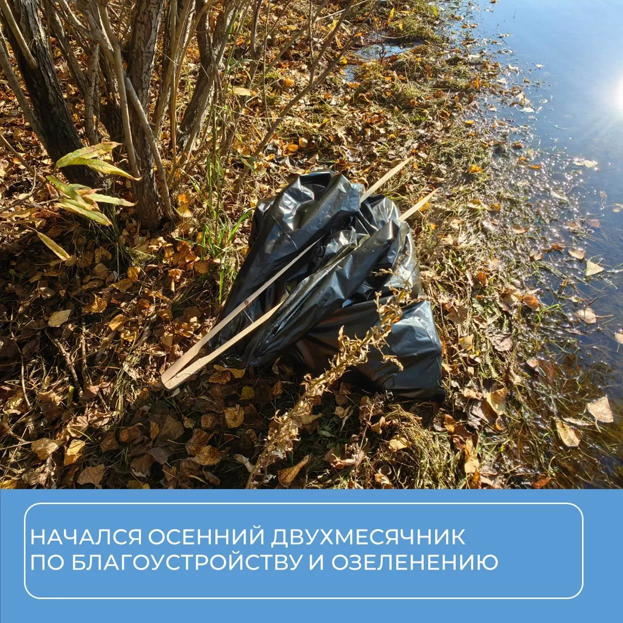 В Красноярске начался осенний двухмесячник по благоустройству и озеленению «За чистый г...