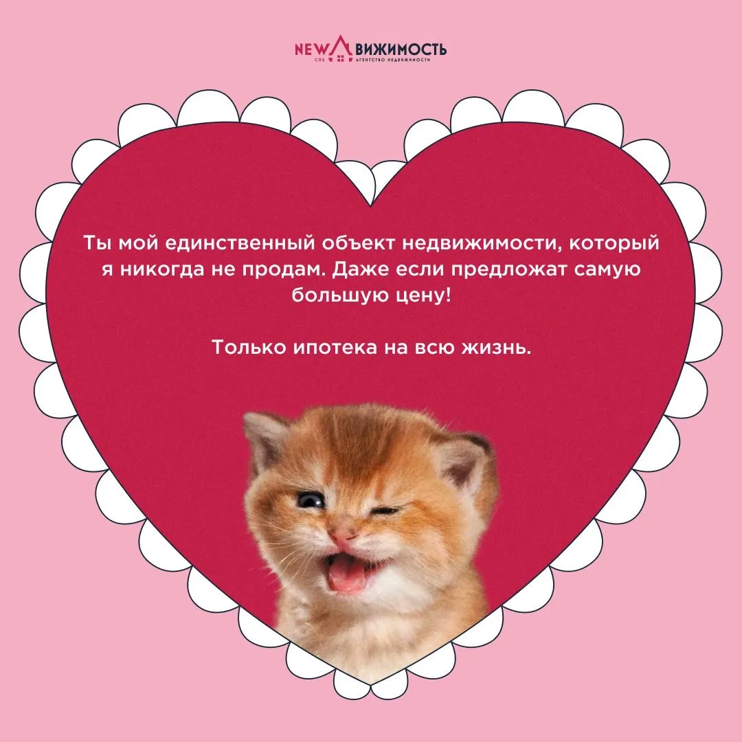 💓 Рядом с вами уже живет ваш самый важный человек  Многие не признают 14 февраля как праздник всех в
