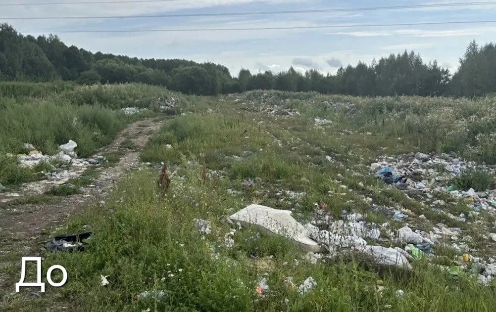 ❗️❗️❗️ В Томской области после вмешательства прокуратуры ликвидирована несанкционирован...
