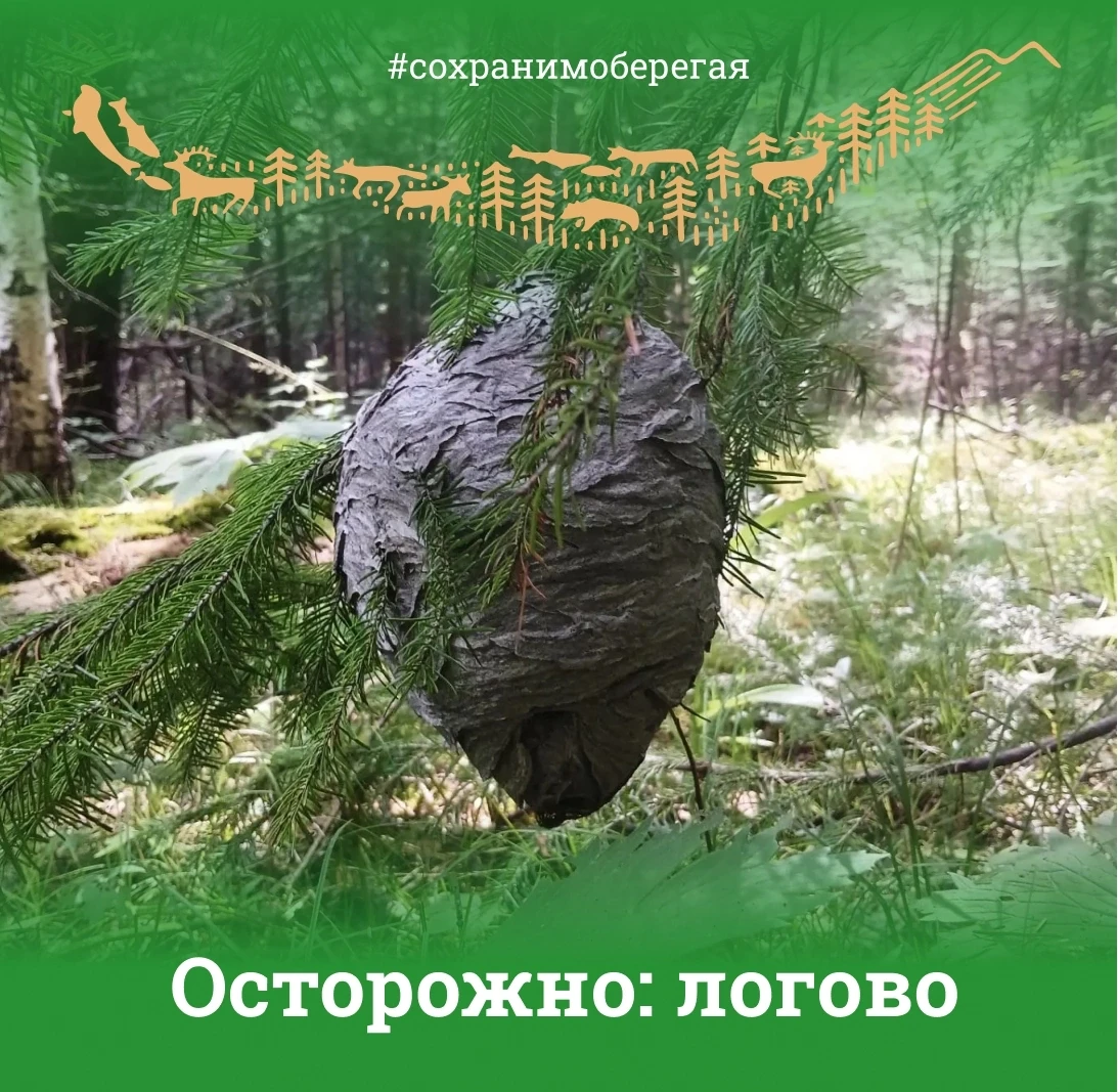 ⚠ ОСТОРОЖНО: ЛОГОВО