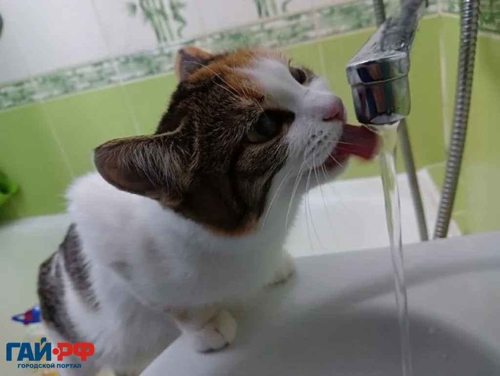 Гай на две недели останется без горячей воды 
https://gts.tv/news/49757

С 12 по 26 августа в Гае от