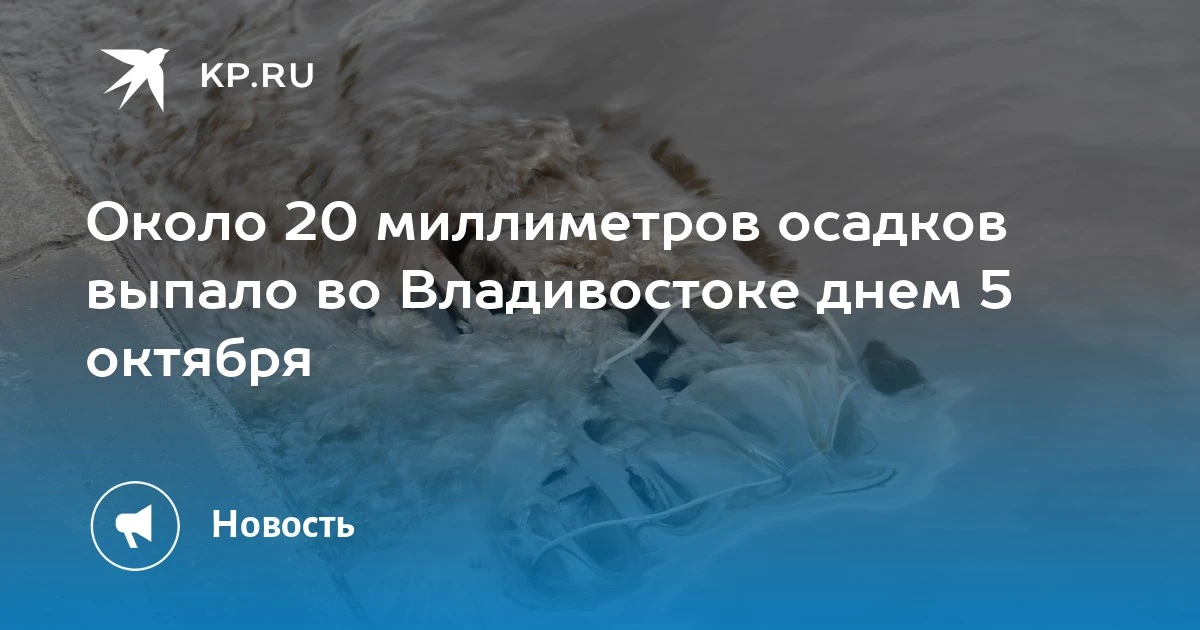 Во Владивостоке выпало 20 мм осадков