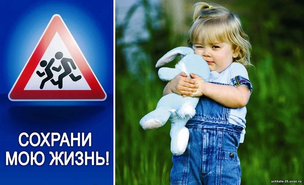 Сохрани жизнь!

	21 июня 2026 года в 20 часов 30 минут а полевой дороге  с. Золотая Степь Советского