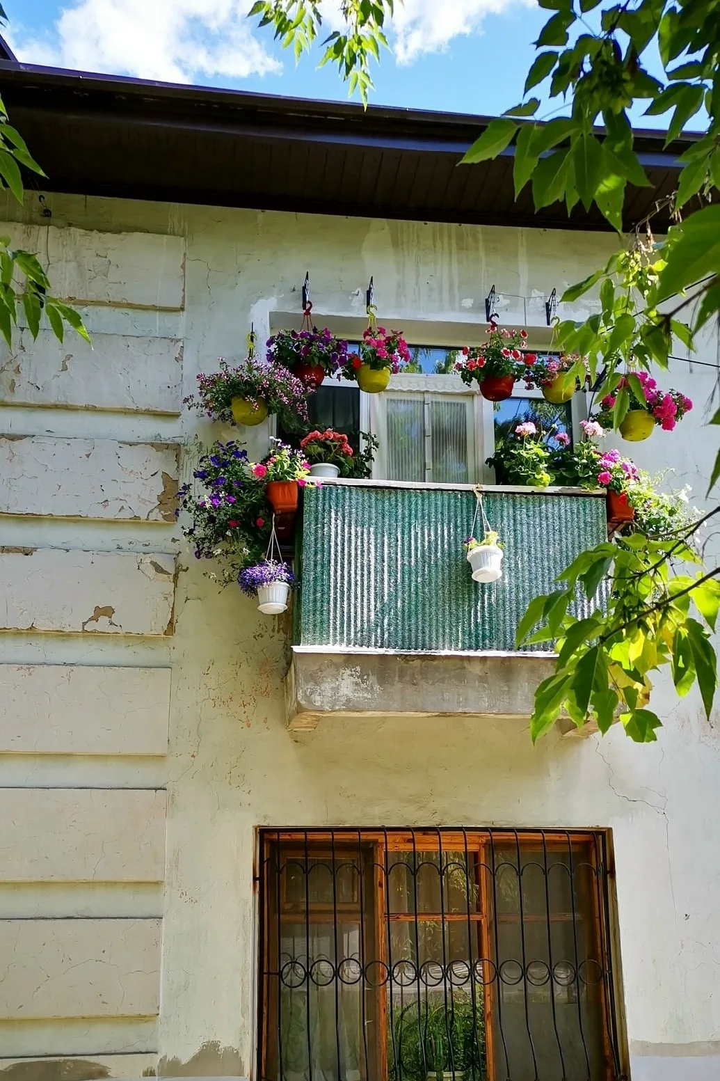 Летняя красота на Судоремонтной