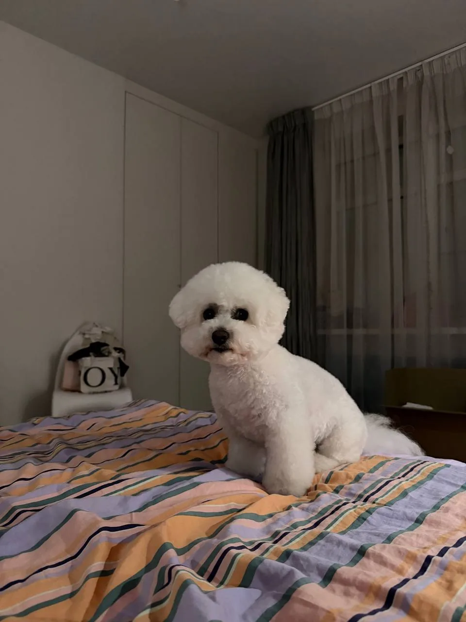 Всем привет от бубы и доброй ночи ❤️