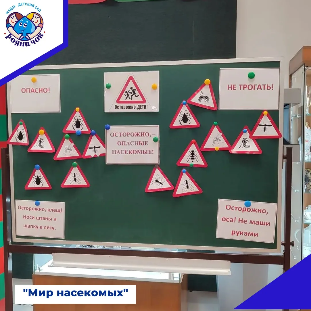 ✨Ребят старшей группы к себе на занятия пригласил музей, Ольга Николаевна Шмакова расск...