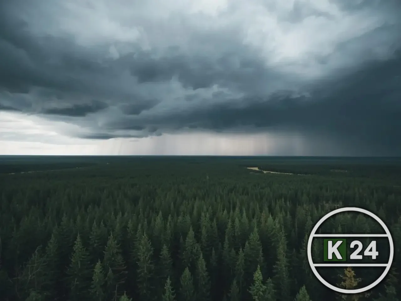 🌤 Ленобласть ждёт резкое потепление: после дождей — почти лето Жителей Ленинградской области ждут тё