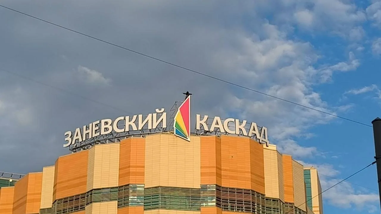 Отважный искатель приключений покорил вершину Заневского каскада.