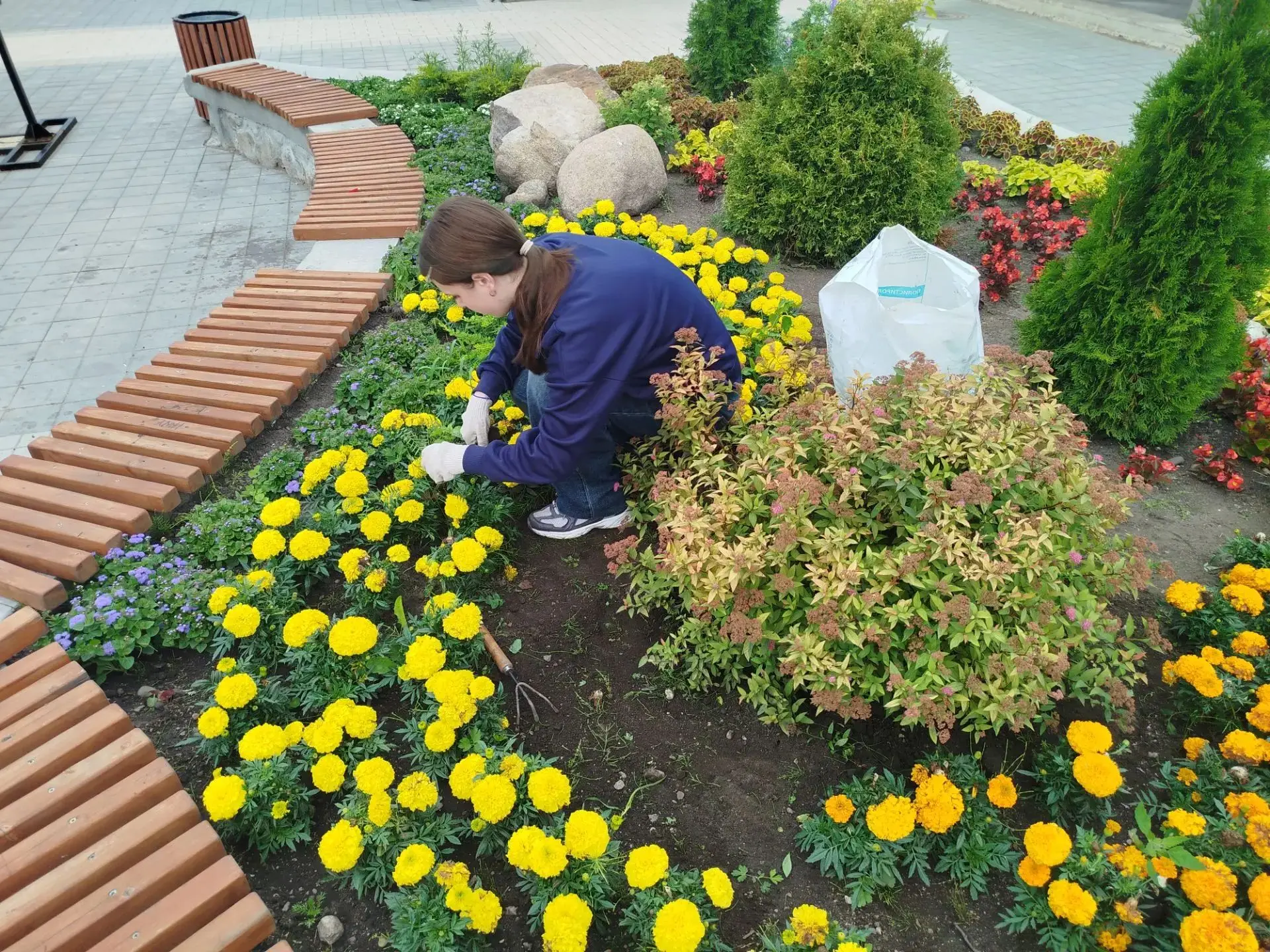15 июля - второй день работы лагеря труда и отдыха. Сегодня каждый смог выбрать направление по силам