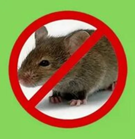 , не заросших кустарников участках леса.