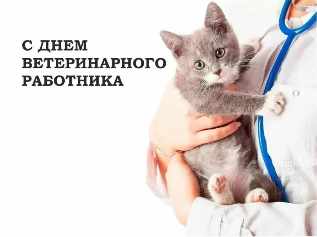 С Днём ветеринарного работника! 🐶🐱