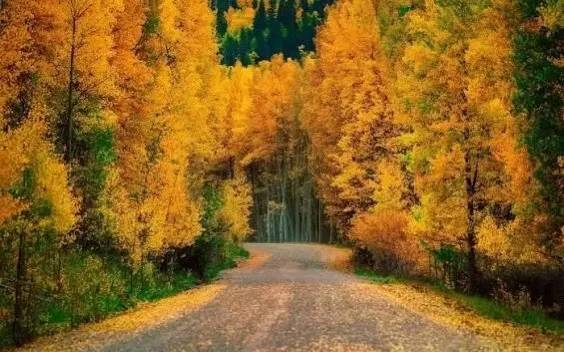 🌿 Сентябрь — не только время радостных встреч, la rentrée scolaire и the back-to-schoo...