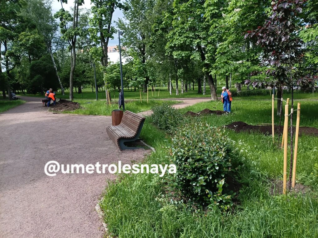 В саду Матросова наполняют и расширяют "аптекарские огороды"