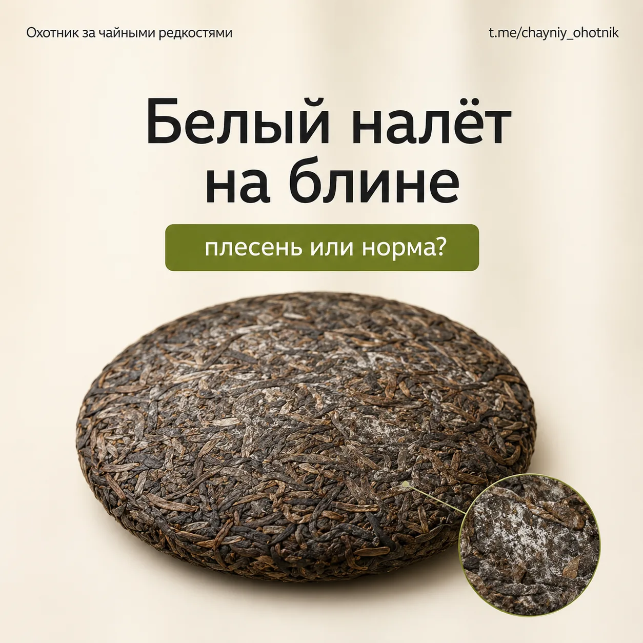 ❓«На блине белый налёт — это плесень? Чай испорчен?»