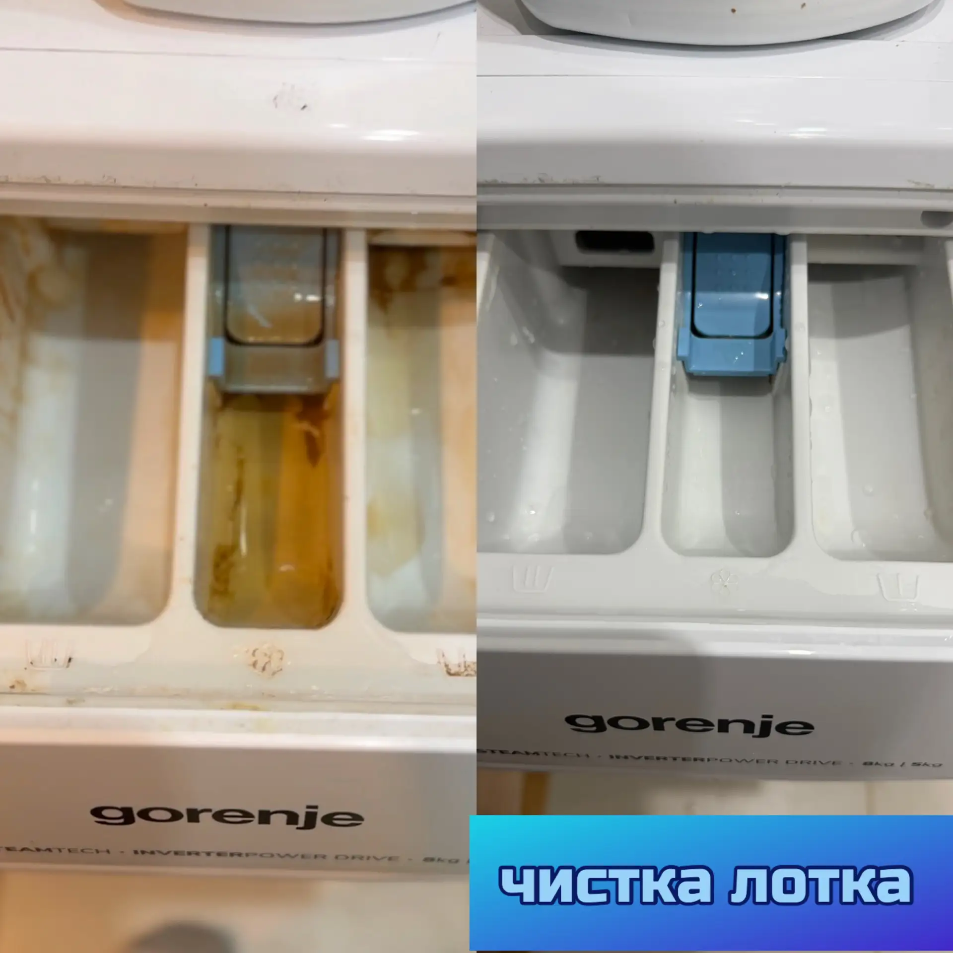 Грязь в лотке стиральной машины: почему это проблема и как её убрать?🧼

Многие забывают, что отсек 