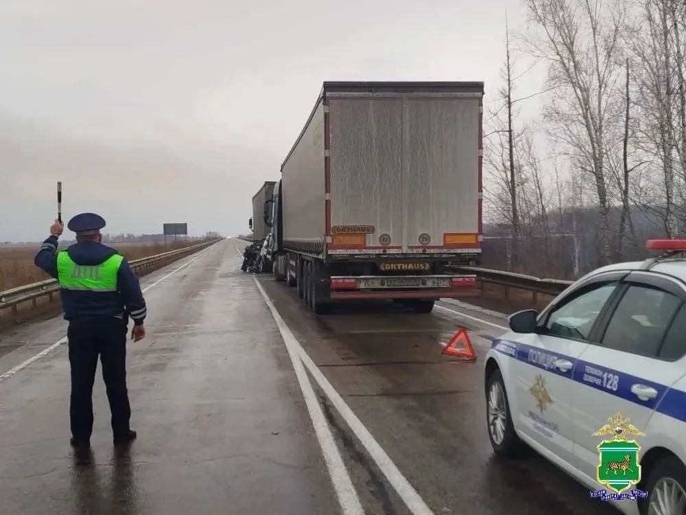 ⏺Жесткое смертельное ДТП из-за тумана… автомобиль спрессовало между грузовиками   На трассе Чита – Х