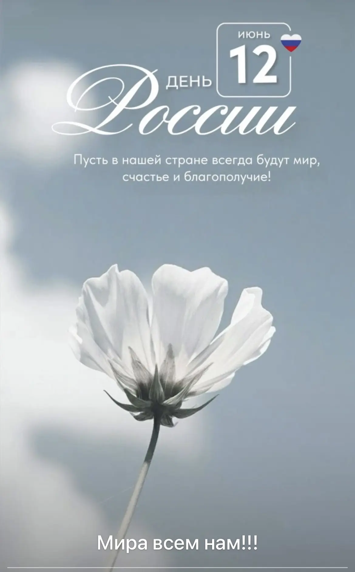 Друзья , всех с праздником ❤️Скидки , Акции- фигня 😅 тут квартира в подарок 🎁
