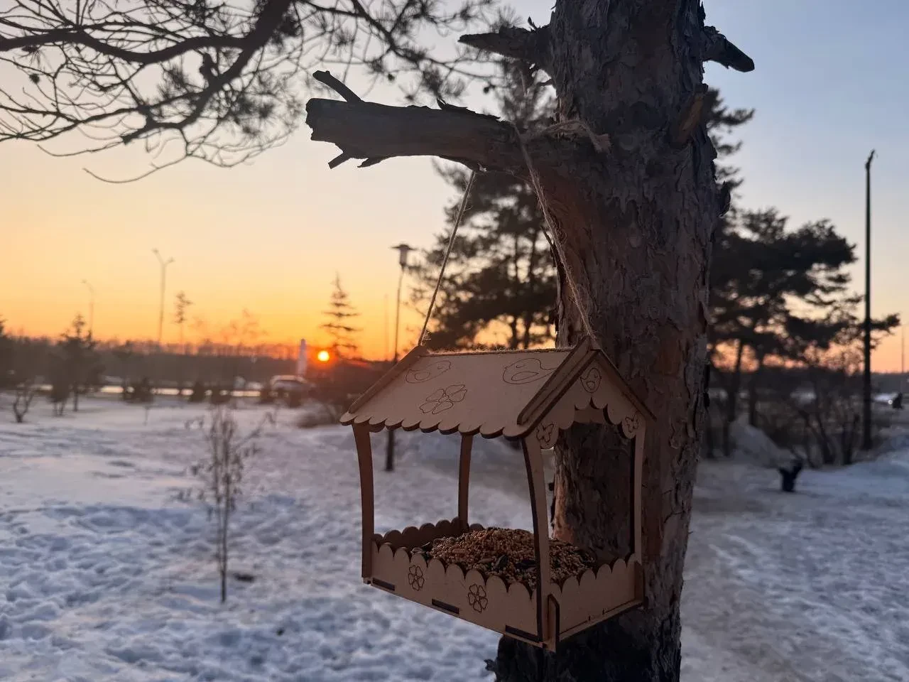 🐦‍⬛️️ Ежегодно в преддверии Международного дня птиц (1 апреля) первичная профсоюзная о...