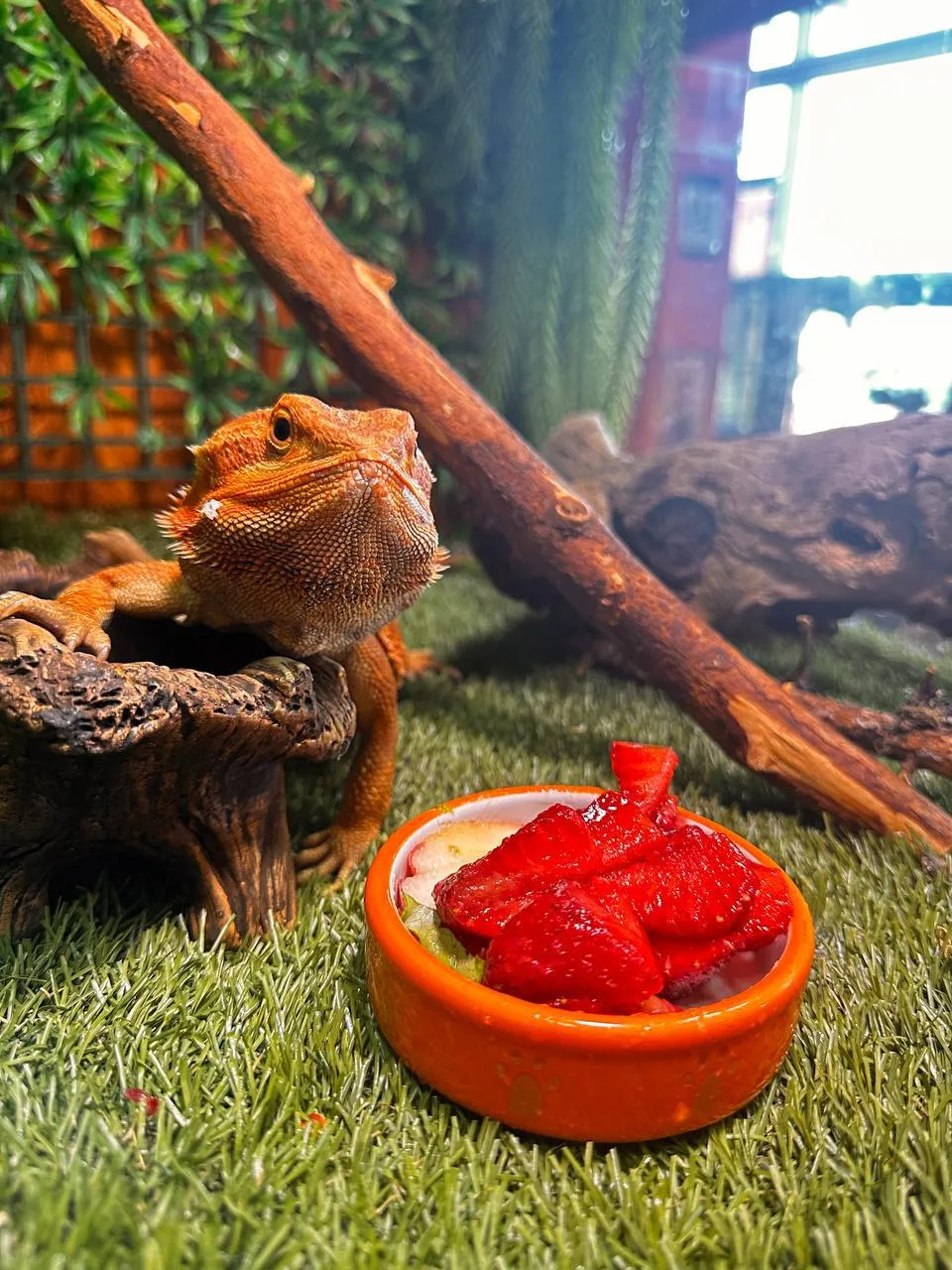 Настоящий летний завтрак 🍓