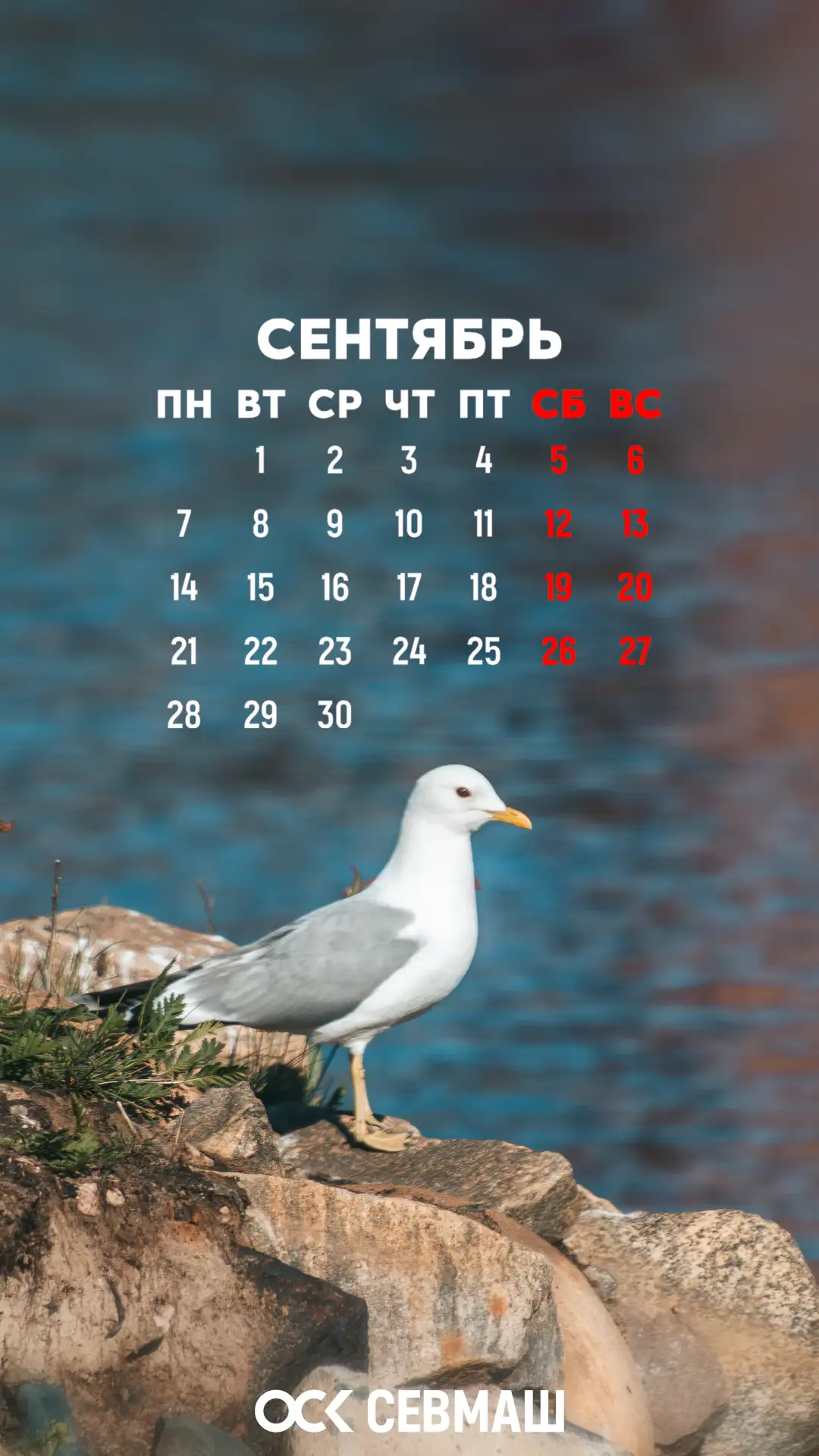 🍂 Сентябрь в ленте — встречаем осень
