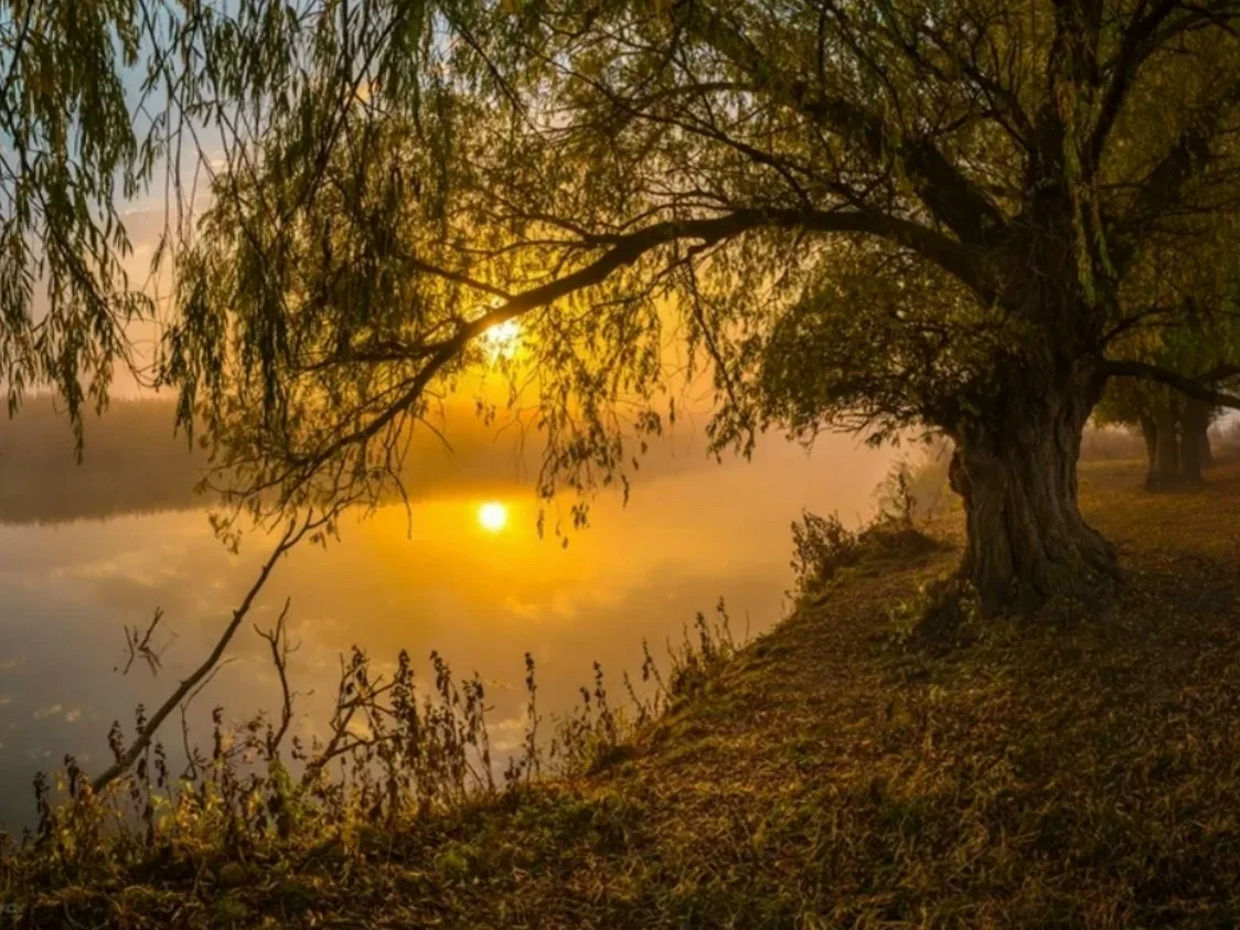 «Осенние мотивы»