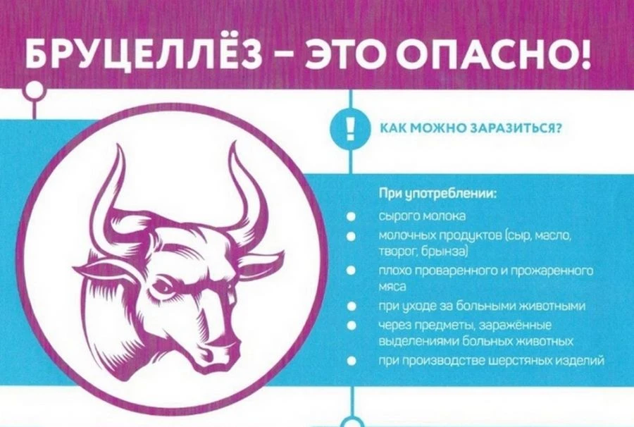Памятка для населения по Бруцеллезу! 🐄🐄🐄