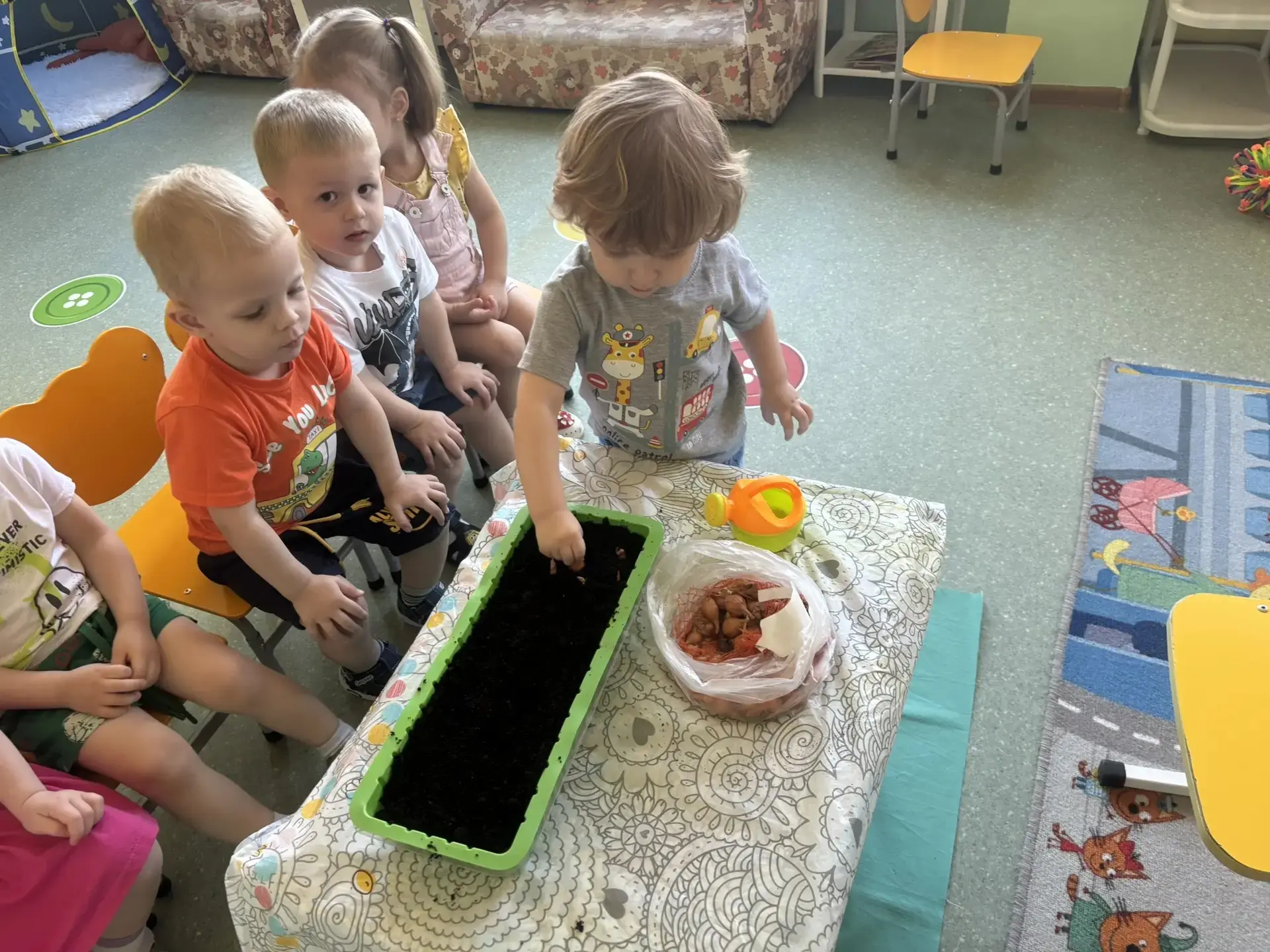 🍅Огород на подоконнике в группе "Чижики".