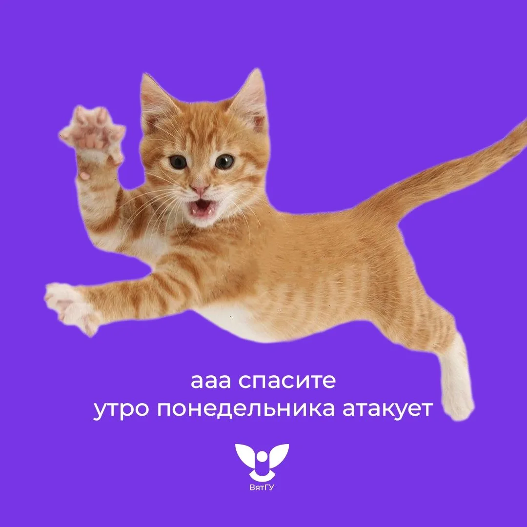 Понедельник — не повод для грусти!