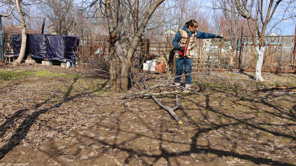 Всем привет! Уважаемые, напоминаю, что у меня особо ничего не меняется с прошлого года по ведению. В