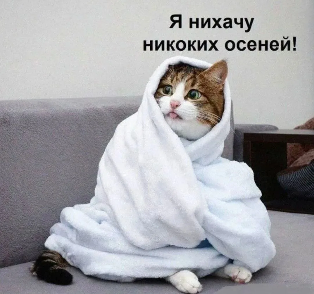 🍁Как превратить осенюю хандру в личную терапию!🍂
