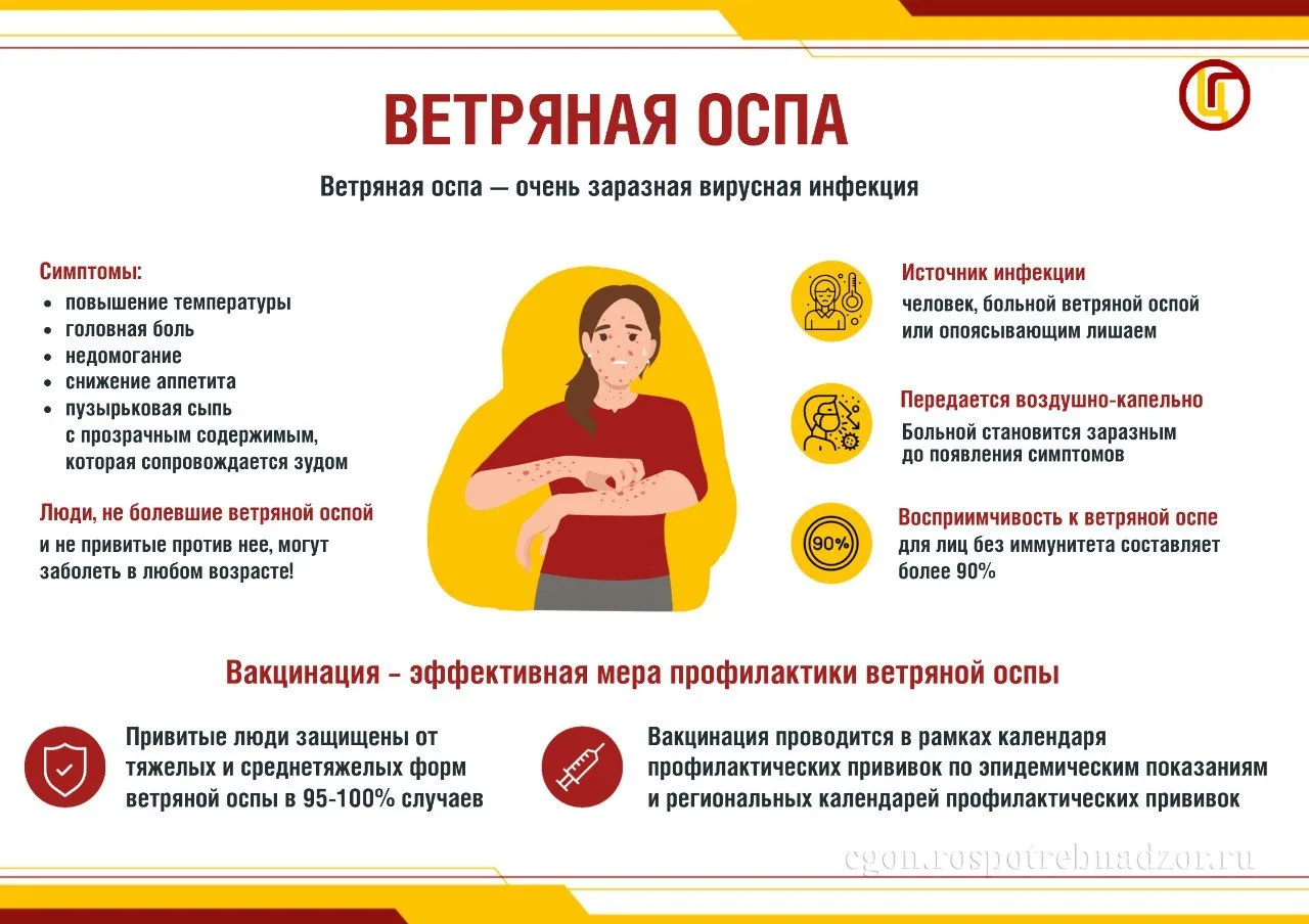 Ветряная оспа (ветрянка) – это острая герпесвирусная инфекция, вызываемая вирусом Вариц...