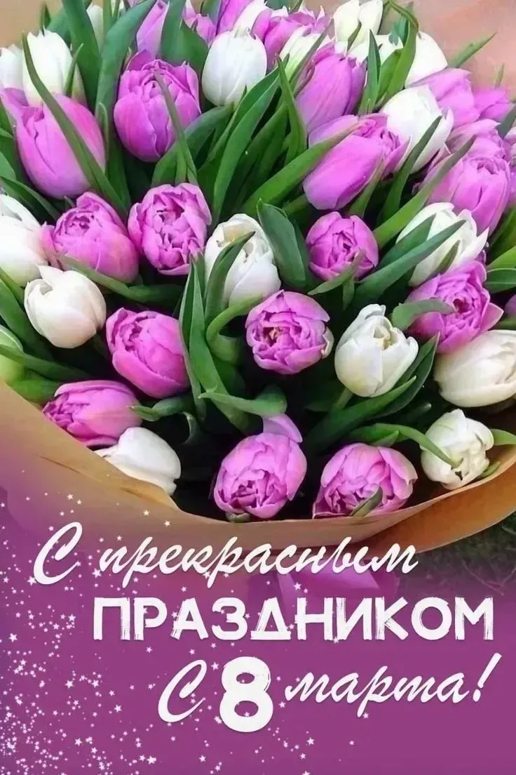 Милые женщины!