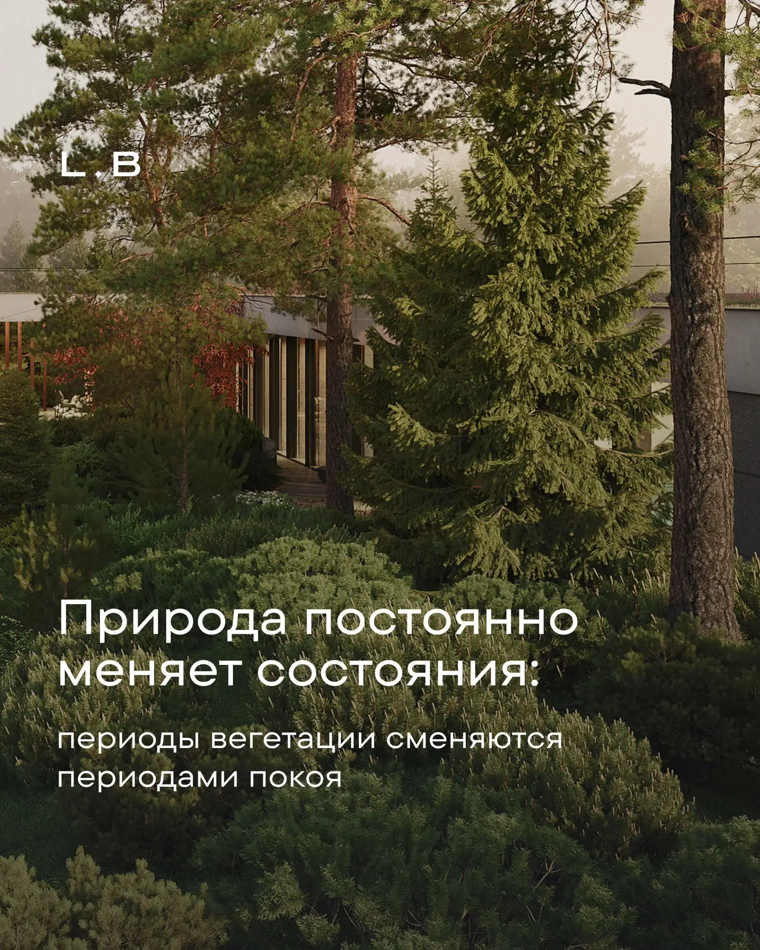 Чтобы Скандинавский сад оставался объёмным поздней осенью и ранней весной, требуется чё...