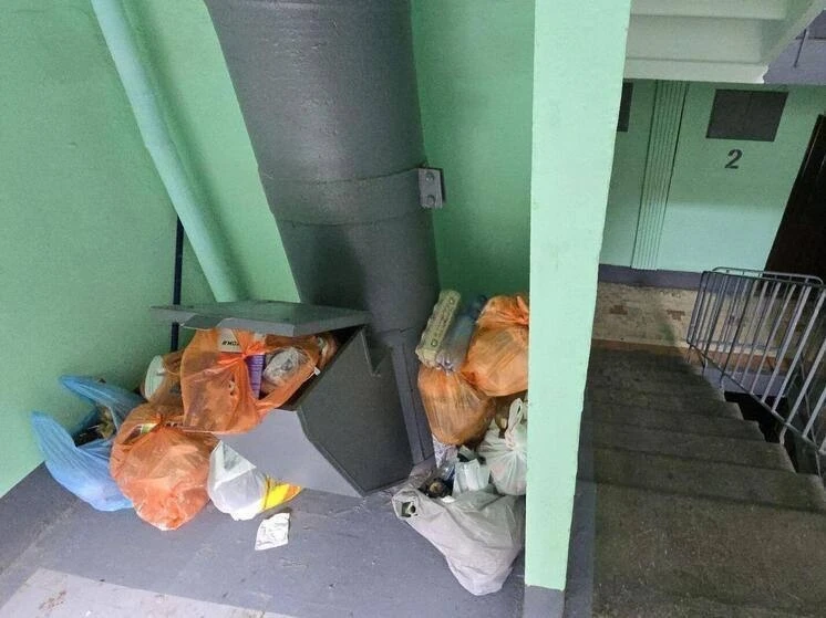 🗑 Засор мусоропровода превратил подъезд в склад отходов

В доме №11 на Купчинской улице жители стол