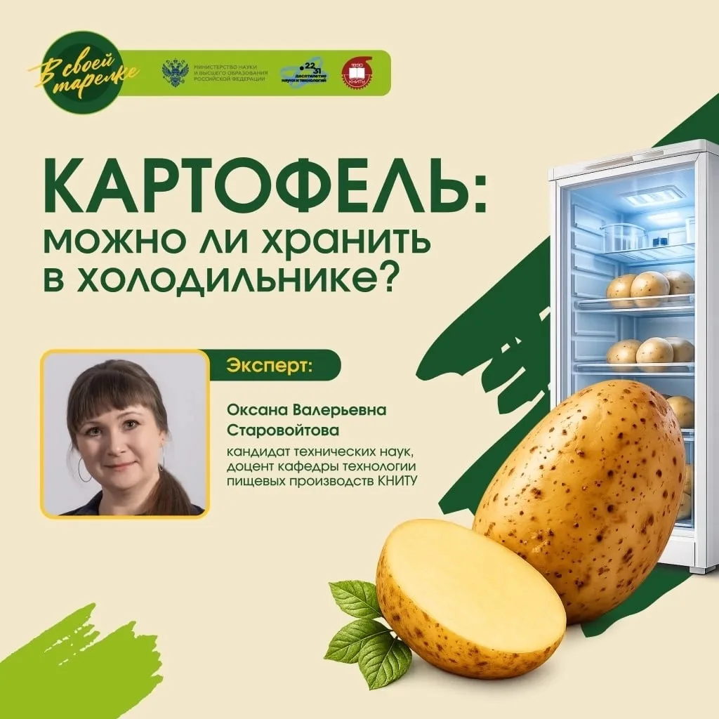 Где лучше всего хранить картофель дома? 🥔

Разбираемся вместе с доцентом кафедры технологии пищевых