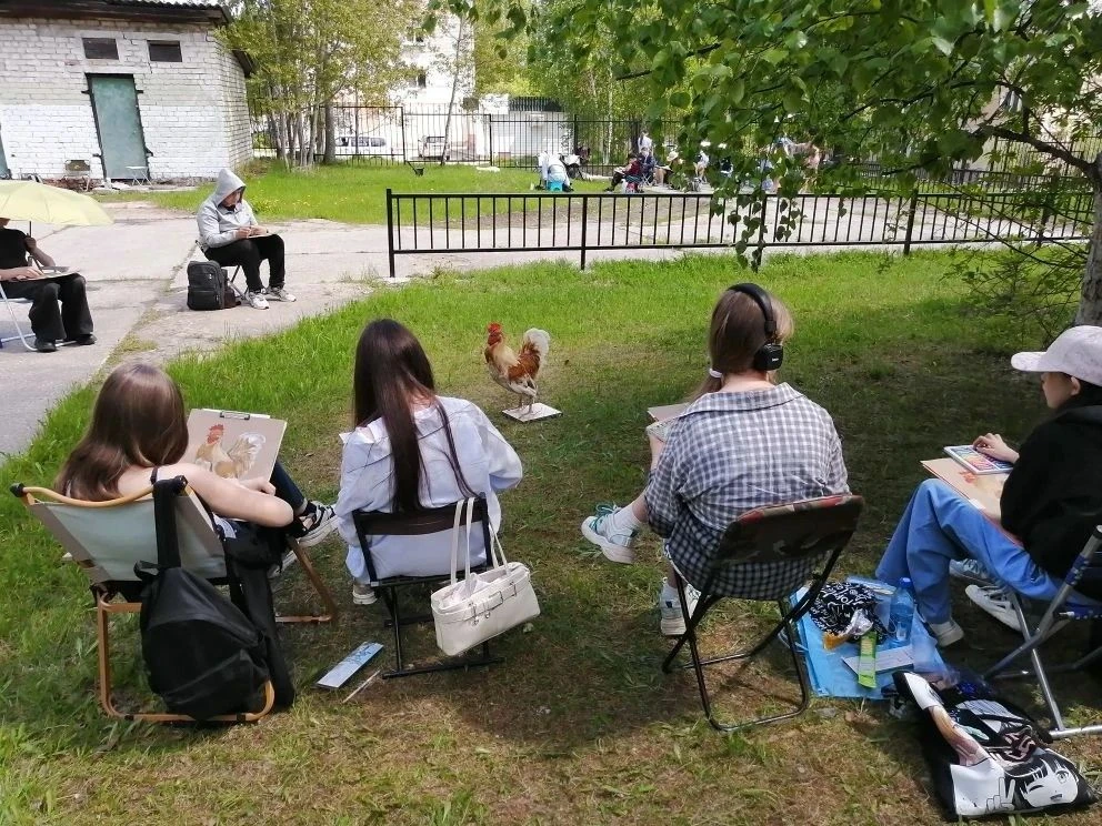 🐓Петушок, петушок, золотой гребешок!