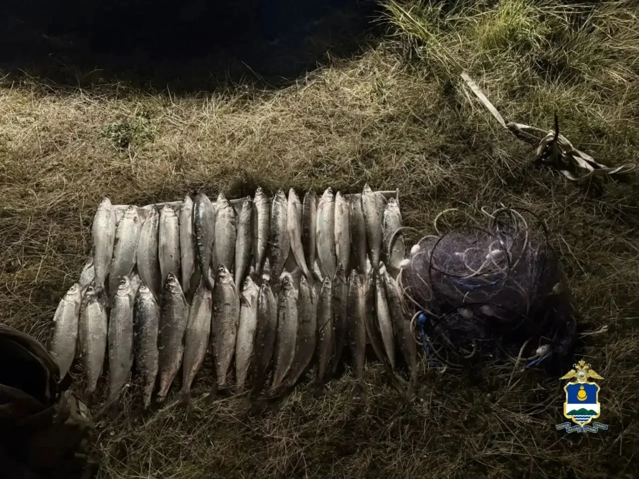 🎣 В Бурятии браконьеров ловят с помощью дронов