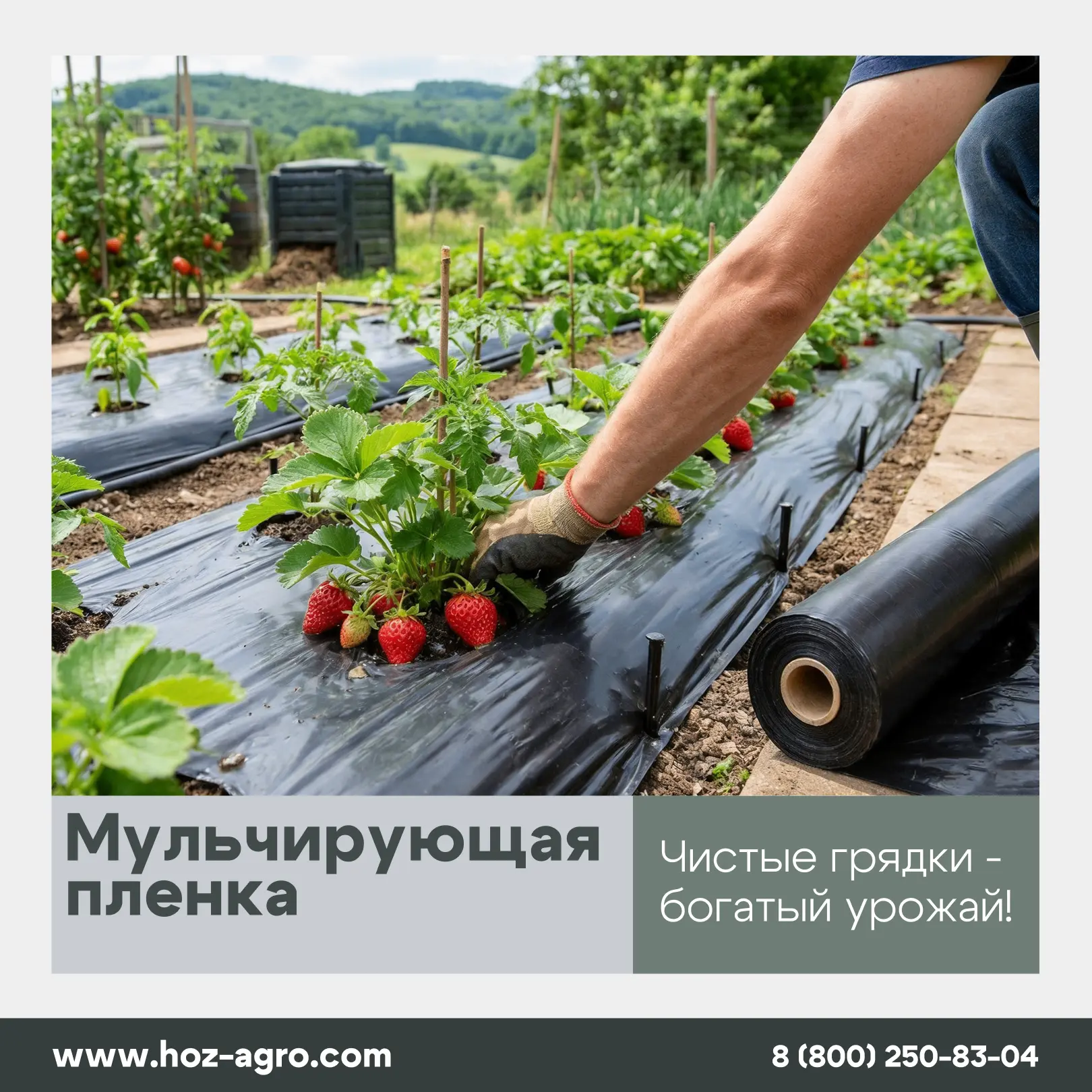 Мульчирующая плёнка без перфорации по цене от производителя "ХозАгро" 🍓 

🌱 Наша пленка полностью 