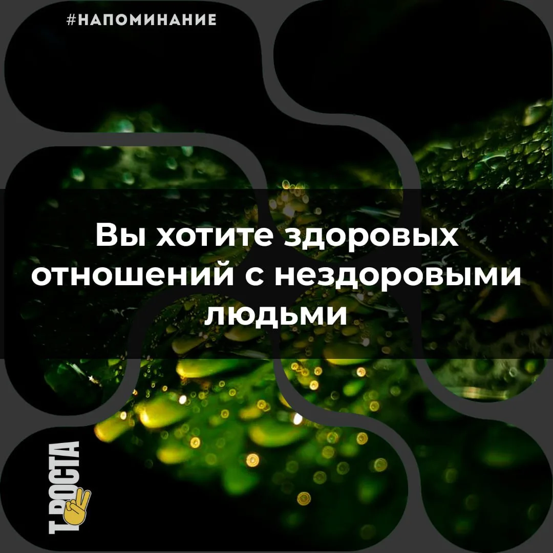 Точка роста
