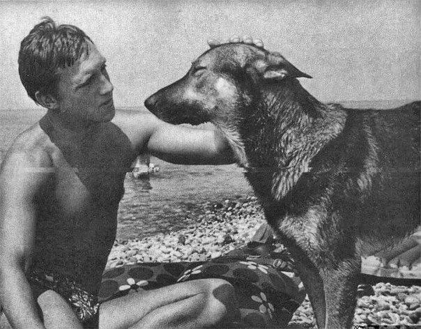 Никогда не суди с первого взгляда ни о собаке, ни о человеке. Потому что, простая дворн...