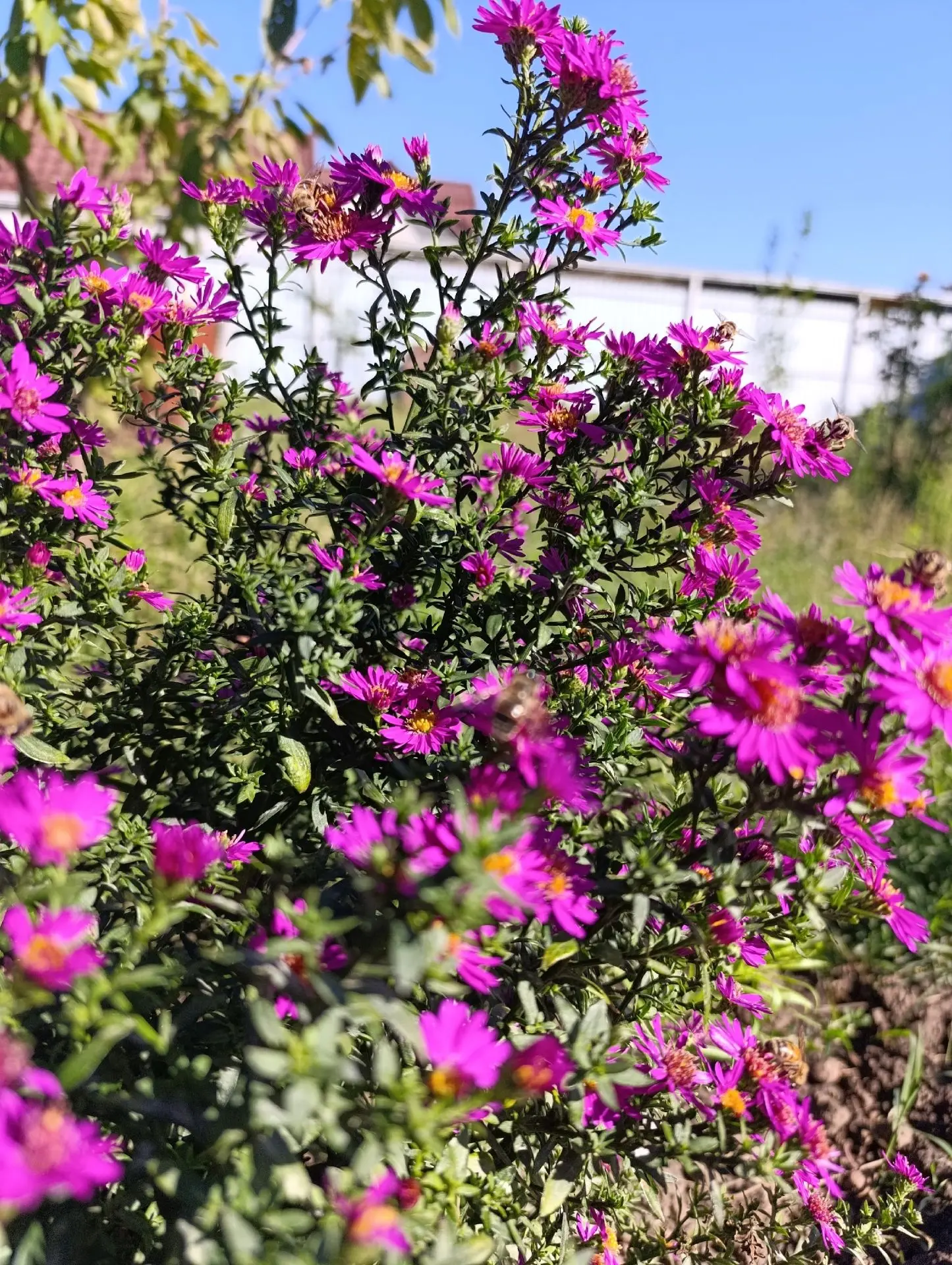 Доброе утро! 🌸❤