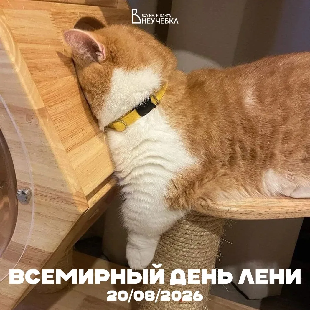 😌 Всемирный день лени объявляется открытым!