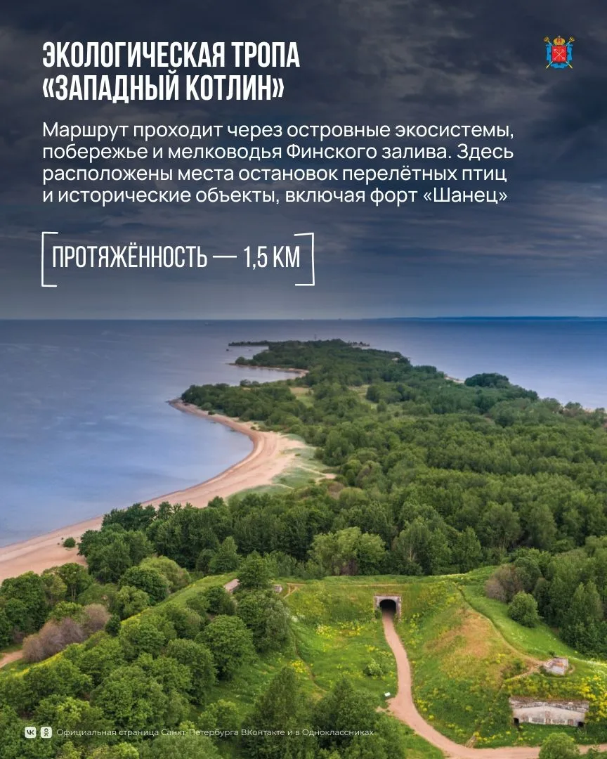 Экологические тропы Петербурга — отличный способ познакомиться с природой города и открыть для себя 