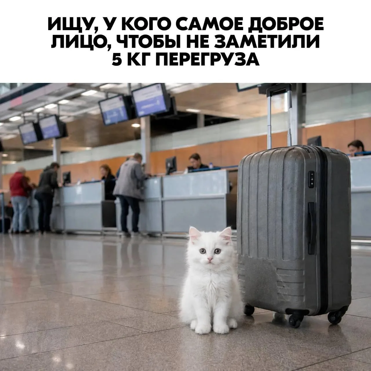 До харизмы этого котёнка нам, конечно, далеко, но мы и не претендуем! 

Было?
❤️ – да…
😍 – не было
