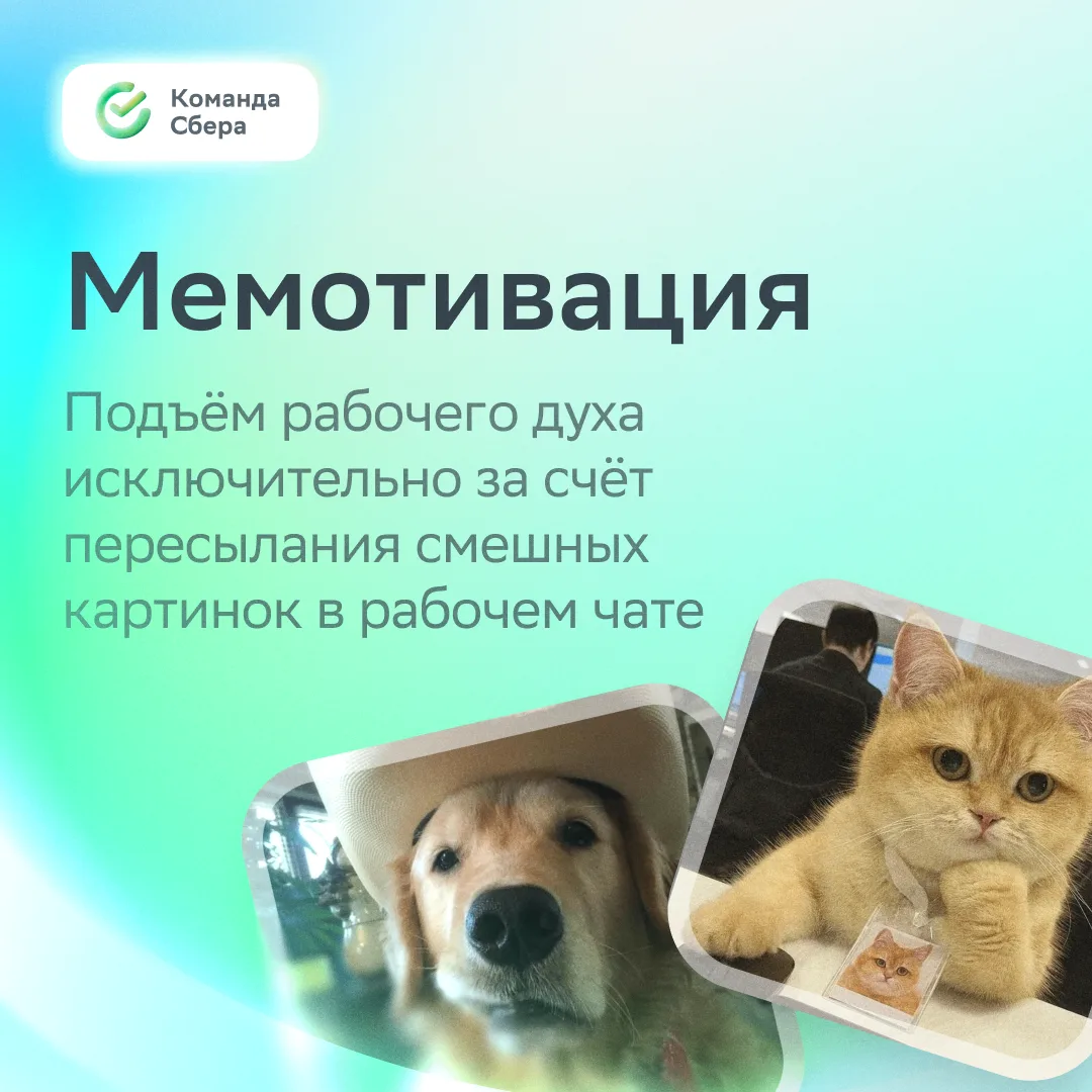 Это правда: ничто так не поднимает настроение, как мемы в рабочих чатах!