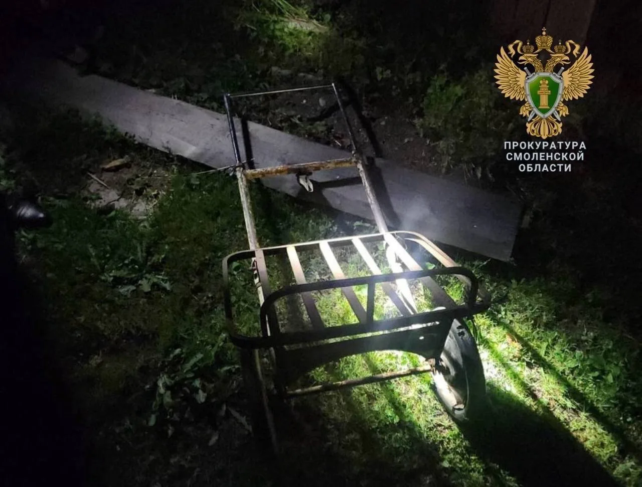 Ревность закончилась смертельной расправой в Ельне