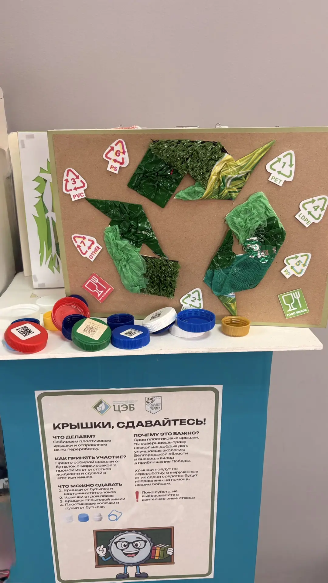 🌿 «Крышки — сдавайтесь!»

Ребята из образовательных учреждений Корочанского муниципального округа н