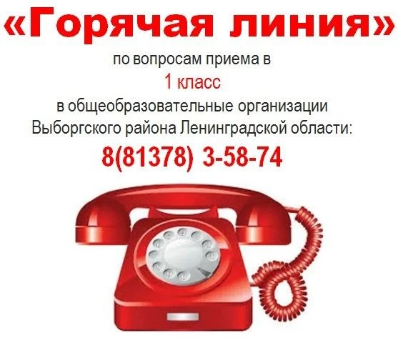 В комитете образования по номеру 8 (813 78) 3-58-74 организована работа «горячей линии»...