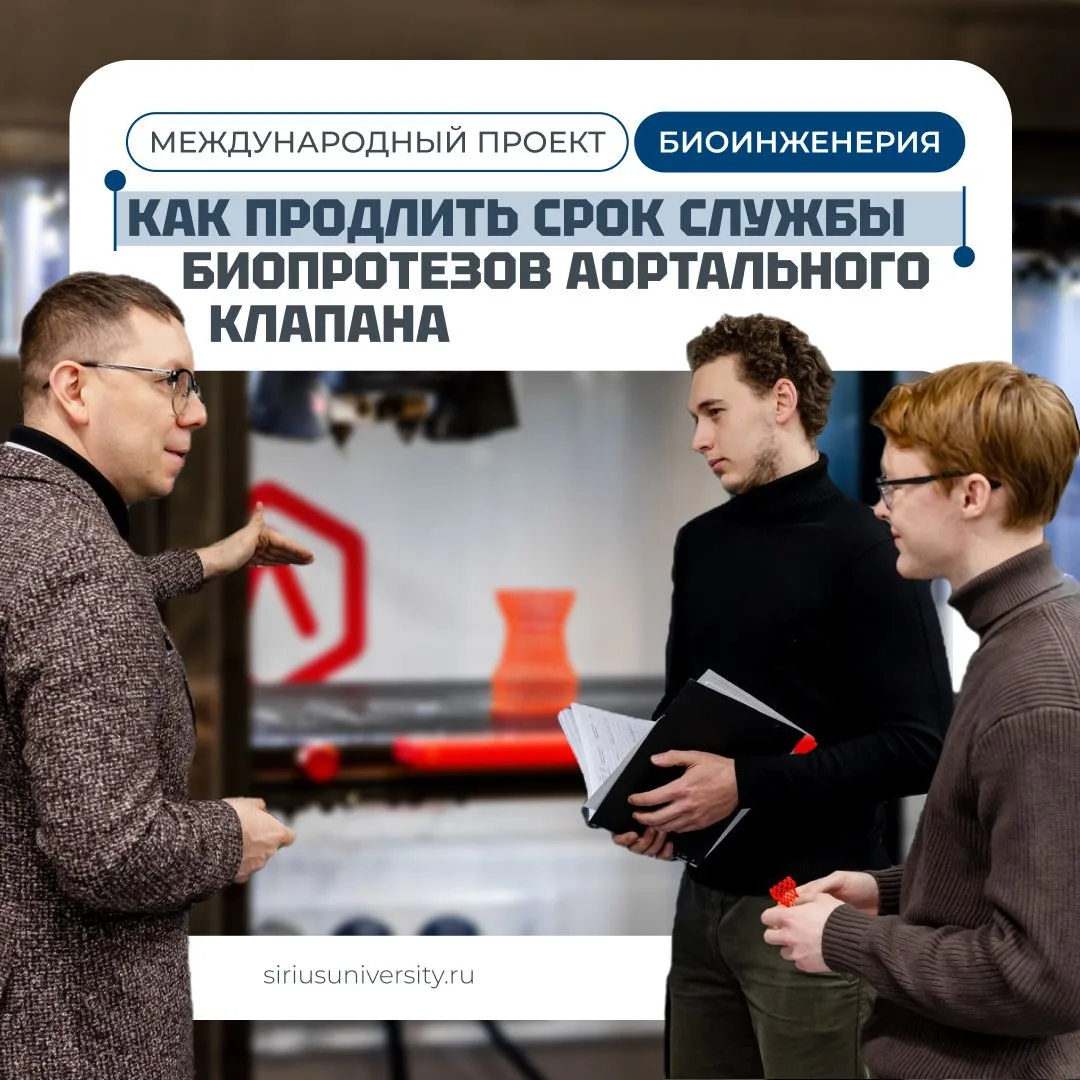Как учёные Сириуса моделируют работу клапана сердца 🔬