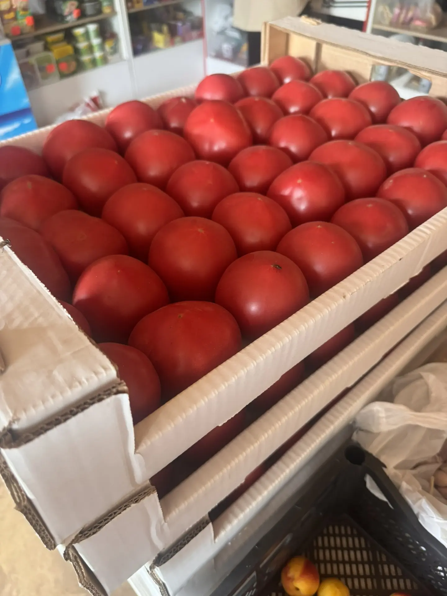 Помидоры 🍅 арбузы приехали